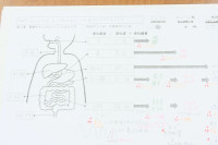 R8_9_8_2の1理科_消化の仕組み (2)